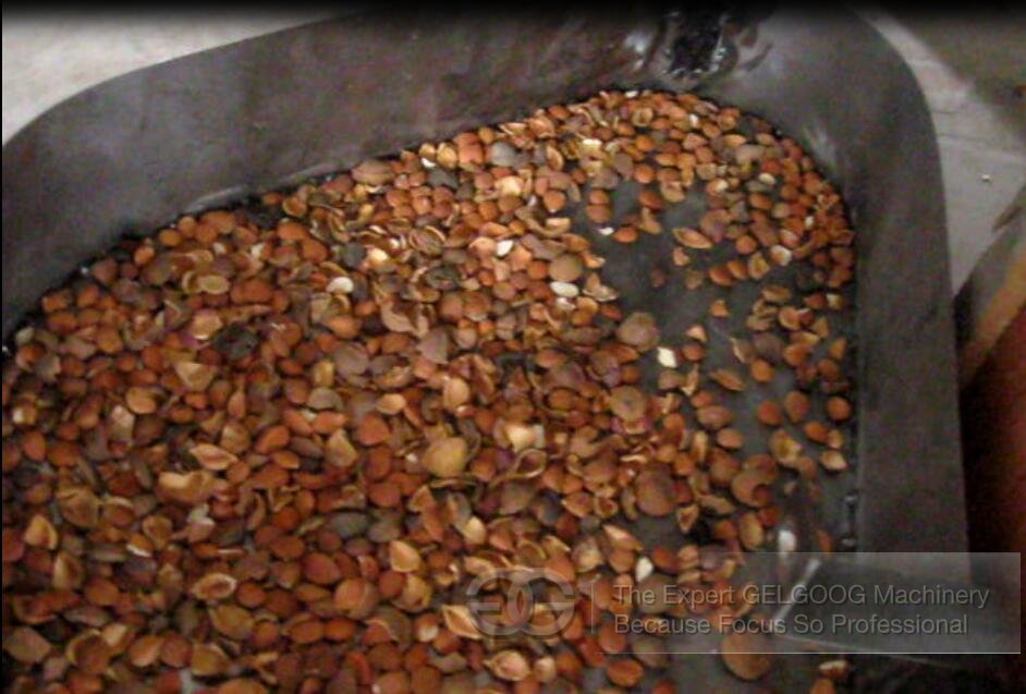 Test Work Video of Almond Shelling Machine