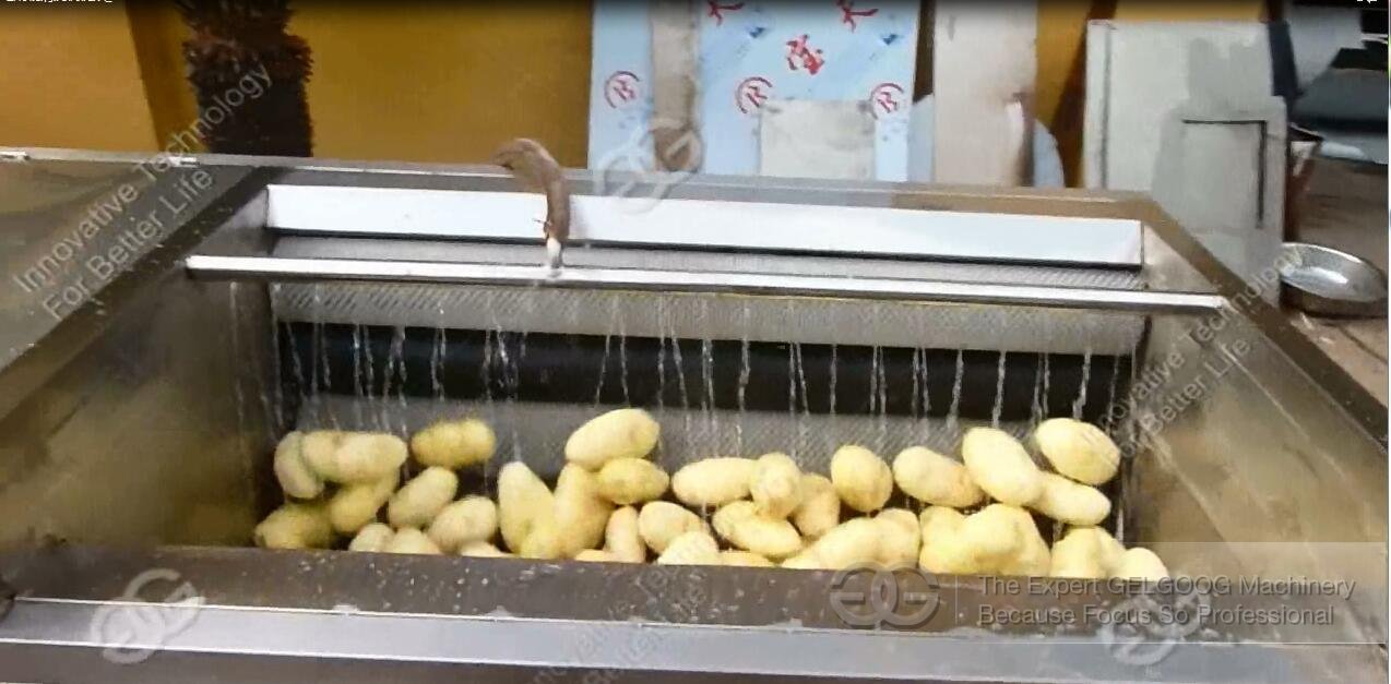 Potato Washing and Peeling Machine Work Video