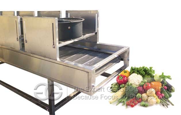 Air Dryer Machine For Fruit and Vegetable