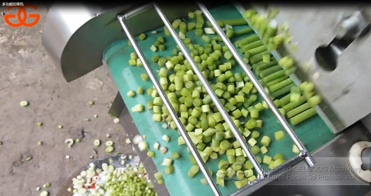 Multifunctional Vegetable Cutting Machine