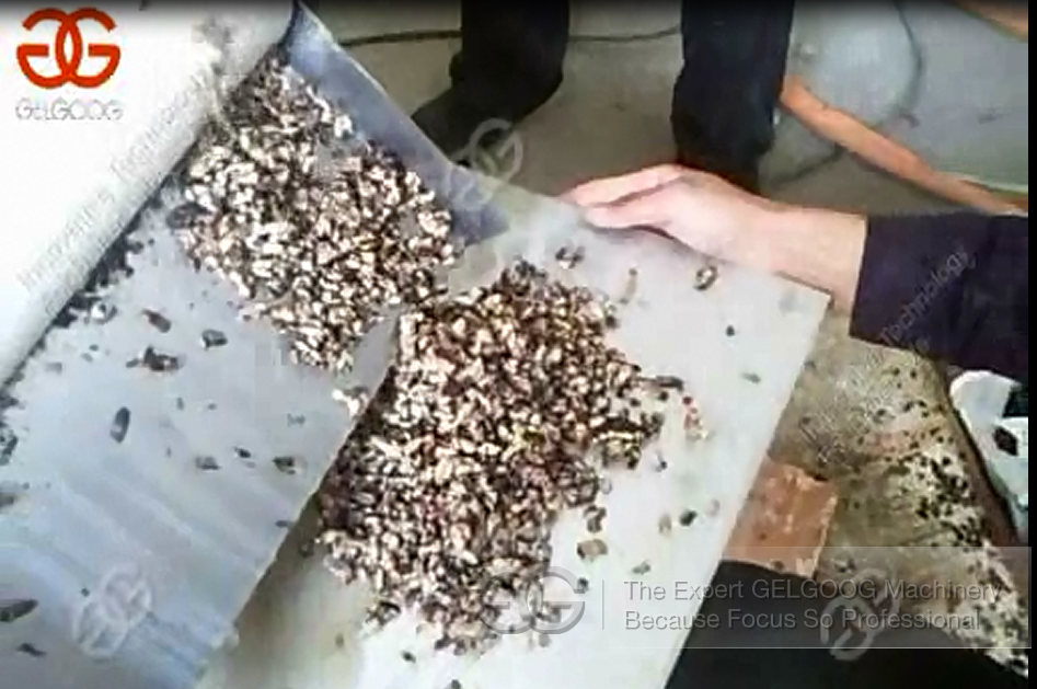 Mushroom Small Cube Cutting Machine