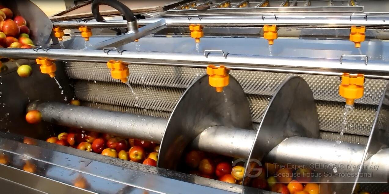 Fruit and Vegetable Washing Line Work Video