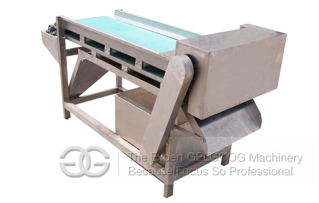 Mushroom Slicer Cutting Machine